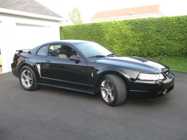Mustang For Sale Ontario >> 1999 Mustang SVT (Cobra) For Sale in Beauceville - $13000 Mustang For Sale Ontario >> 1999 Mustang SVT (Cobra) For Sale in Beauceville - $13000