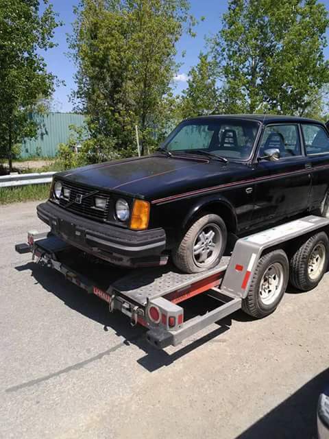 Volvo 242 gt main photo